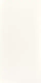 Super White Matt 60x120