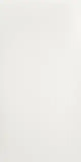 Super White Lenza Lappato 60x120