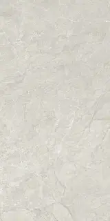 Aristo Grey Tm 60x120