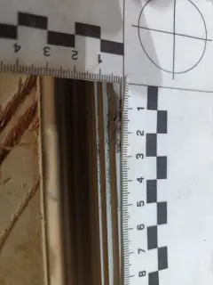 Doncella Ivory Polished 6mm 120x280