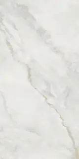 Ornato Wave Carving 60x120