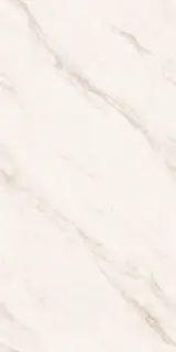 Angelo Oro Dg Carving 60x120