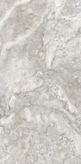 Ravena Grey Carving Str 60x120