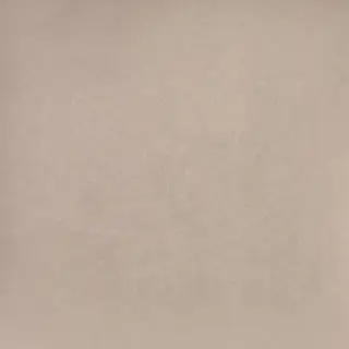 Levels Birch Matt 20x20