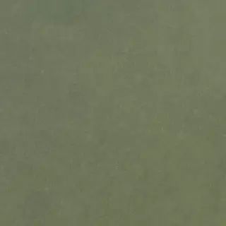 Levels Forest Matt 20x20