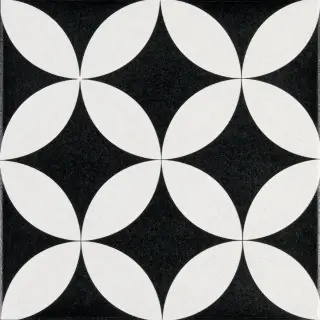 Levels Bk Decor 19 20x20