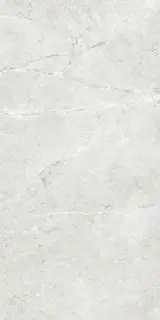 PALERMO GRIS  60X120X9 REC.