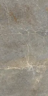 PALERMO TAUPE 60X120 REC.