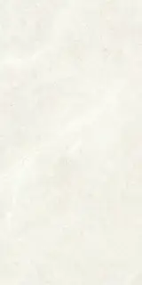 PALERMO BONE 60X120 REC.