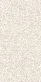 LEATHERWOOD CUIR WHITE NAT.3D 60X120 8,5 мм