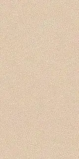 LEATHERWOOD CUIR BEIGE NAT.3D 60X120 8,5 мм