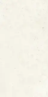 LITHOTEKE FRENCH ST HONED RT 60X120