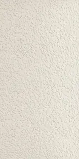 NISUS NEVE RECT 60X120