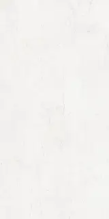 MUSEUM NUMEN WHITE SP 60х120x0.9 M-101