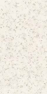 MIRAGE HANJI BEIGE PP SQ 60х120x0.9