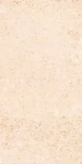 Shunut Beige G302/Шунут бежевый мат 60x120 XX