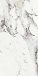 Les Origines Argent Glossy ZZ 60x120