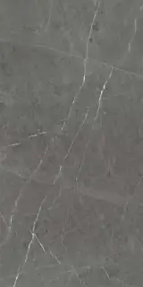 Skala 2203 Темно-серый Матовый 60х120