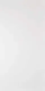 Керамогранит Domino G-100MR белый матовый  l60x120