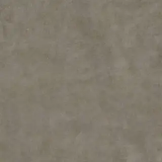 Gravity Grey XX 80x80