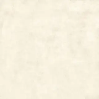 Gravity White XX 80x80