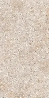 Treviso серая 60x120 ZZ