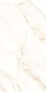 Dortmund серая 60x120 ZZ