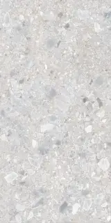 Dallas светло-серая 60x120 ZZ