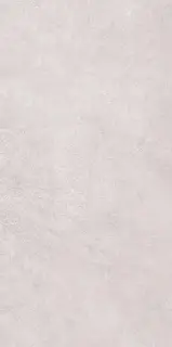 Bern серая 60x120 ZZ