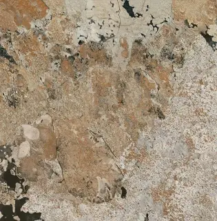 Bali In&Out XX 60x60