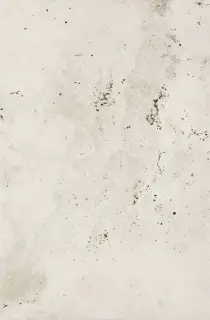 Heritage Ivory 40x60.8