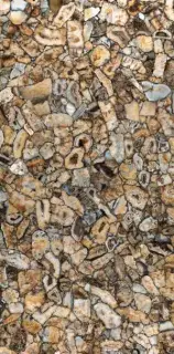 Agata Atena Lucidato (Shiny) 6 mm XX 150x300