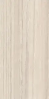 Travertino Silver Natural Plus (R10) 150x300