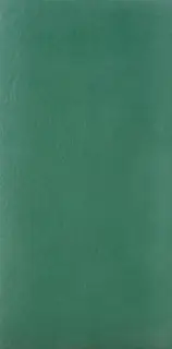 Avocado6 12 (п.п.) ZZ 60x120