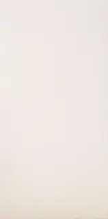 Burro6 12 (п.п.) ZZ 60x120