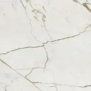 Vision Calacatta Oro 120x120