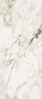 AE PAO6 278 LP 120x278