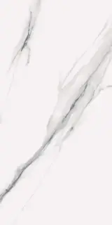 Butik 2020 Белый Лаппатированный 60х120