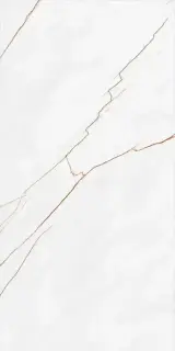 Граните Сиена белый MR матовый 60x120