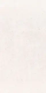 Core Pro White  ZZ 60x120