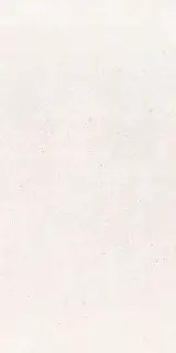 Core  White  ZZ 60x120