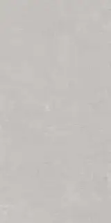 Про Фьюче серый светлый обр. гр. |60х119,5