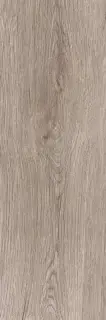 Baltika grey PG 02  20х60