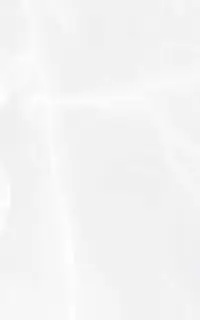 Эдем бел верх 01 25x40