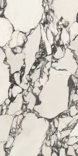 Calacatta Viola Lappato