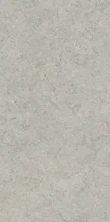 Italon Керамический гранит Forum Керамогранит Stone Silver 60x120 натуральный