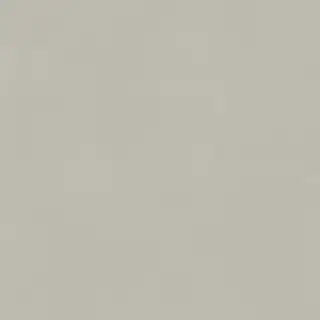 Italon Керамический гранит Forum Керамогранит Slim Silver 80x80 натуральный