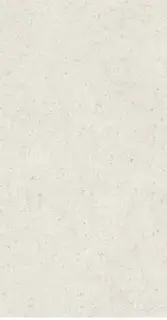 Italon Керамический гранит Forum Керамогранит Stone Polar 60x120 натуральный