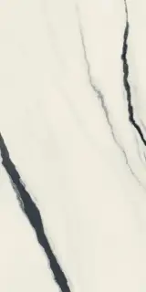 Atlas Concorde Russia Forte Dei Marmi Керамогранит Panda White 60x120 патинированный 