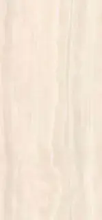 TRARGE6 278 RM  ZZ 120x278